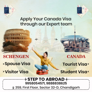 Study Abroad Consultants In Chandigarh